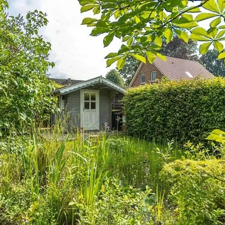 Verbringen Sie Ihren Urlaub In Einem Gemuetlichen Nurdachhaus In Am Duemmer-see