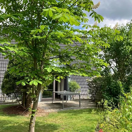 Verbringen Sie Ihren Urlaub In Einem Gemuetlichen Nurdachhaus In Am Duemmer-see Holiday home *
