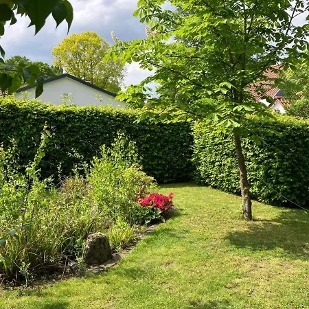 Holiday home Verbringen Sie Ihren Urlaub In Einem Gemuetlichen Nurdachhaus In Am Duemmer-see Hude (Diepholz)
