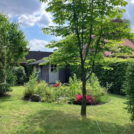 Verbringen Sie Ihren Urlaub In Einem Gemuetlichen Nurdachhaus In Am Duemmer-see Holiday home