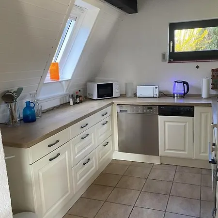 Verbringen Sie Ihren Urlaub In Einem Gemuetlichen Nurdachhaus In Am Duemmer-see * Hude (Diepholz)